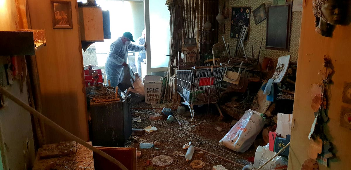 פינוי דירות מקירות שחורים מעובש - עשה זאת בעצמך