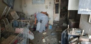 פינוי זבל ופסולת עם עובש ועפש - עשה זאת בעצמך